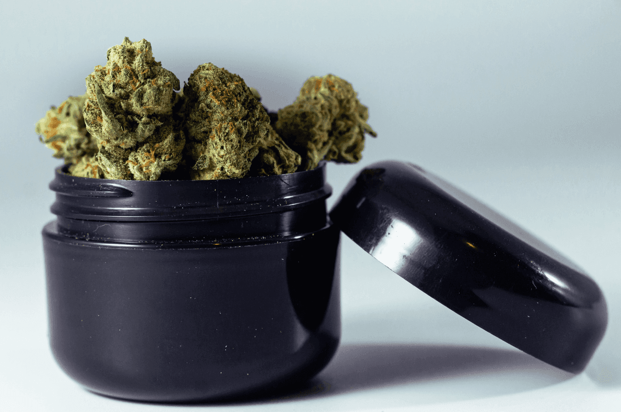 eine offene schwarze Schraubdose, die mit Cannabisblüten gefüllt ist